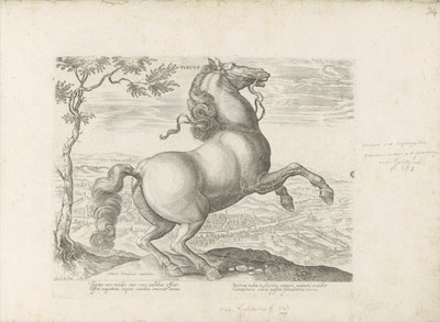 Cheval de Toscane - Anonymous