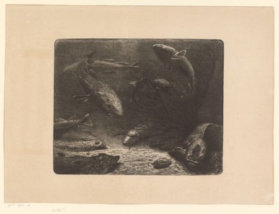 Brochet, raie, plie, crabe, anguille et autres poissons - Anonymous