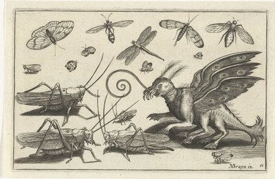 Sauterelles et créature fantastique avec ailes et palmes - Anonymous