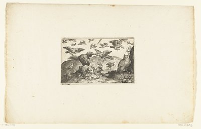 Chouette debout et chouette attaquée par des oiseaux - Anonymous