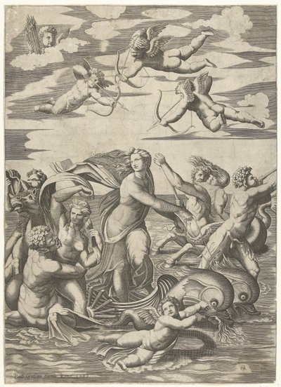 Triomphe de Galatée avec tritons et néréides et putti - Anonymous