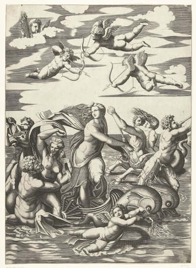 Triomphe de Galatée avec tritons et néréides et putti - Anonymous