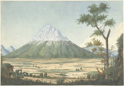 Paysage tropical avec montagnes - Anonymous