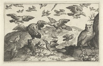 Hibou avec proie attaqué par d
