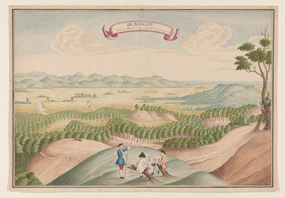 Vue de la plantation de poivre dans la région de Baygam - Anonymous
