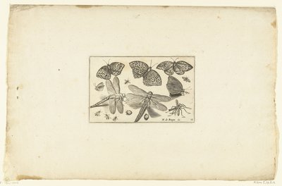 Papillons et libellules - Anonymous