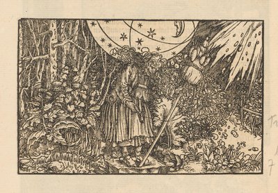 Femme avec un fuseau dans une forêt et une voûte céleste - Anonymous