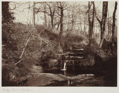 Edge Park, Cheshire, c.1865 - Anonymous Anonymous