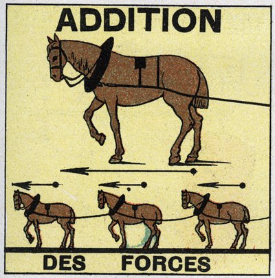 Forces: Addition des forces. Illustration anonyme de 1925. Collection privée - Anonymous Anonymous