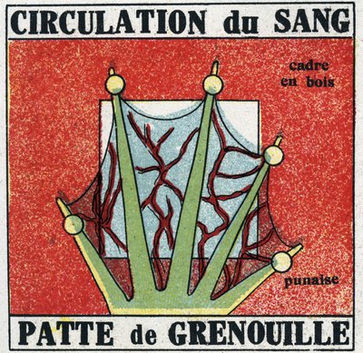 Projection de lumière : utilisation d