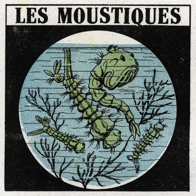 Projection de lumière : utilisation d