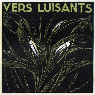 Phosphorescence : verts lumineux. Illustration anonyme de 1925. Collection privée. - Anonymous Anonymous