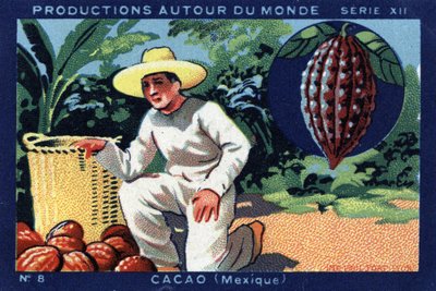 Productions autour du monde : Cacao au Mexique. Chromolithographie de 1933 dans « Joseph-Milliat Album » - Anonymous Anonymous