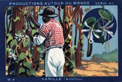 Productions autour du monde : Vanille aux Antilles. Chromolithographie de 1933 dans « Joseph-Milliat Album » - Anonymous Anonymous
