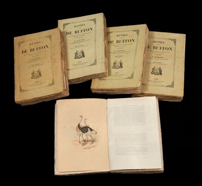 Les œuvres complètes de Buffon (1707-1788) - Anonymous Anonymous