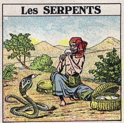 Les effets de la musique : un charmeur de serpents cobras. Illustration anonyme de 1925. Collection privée. - Anonymous Anonymous
