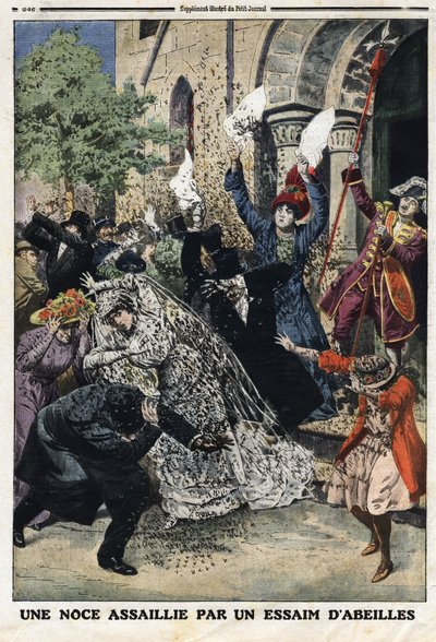 Un mariage attaqué par un essaim d