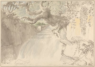 Cascade et Tronc d