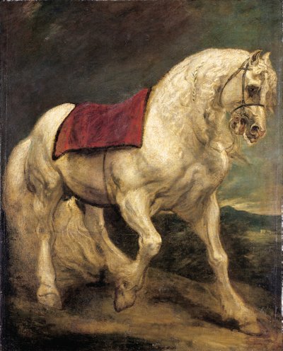 Un étalon gris bridé, avec un tapis de selle et une crinière partiellement tressée : un modello - Anthony van Dyck