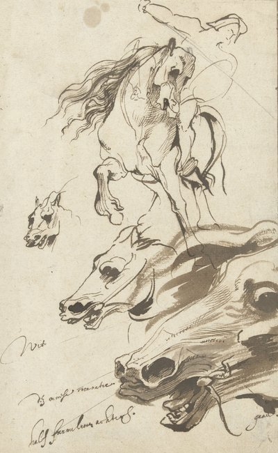 Étude de cavalier et tête de cheval, 1620-1 - Anthony van Dyck
