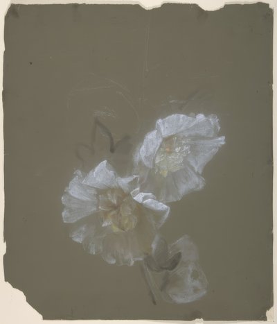 Motif floral - Antoine Berjon