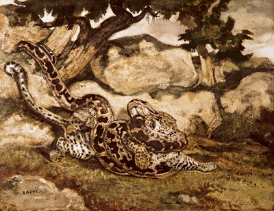 Un python tuant un tigre - Antoine Louis Barye