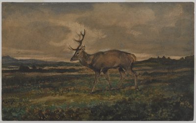 Cerf marchant - Antoine Louis Barye