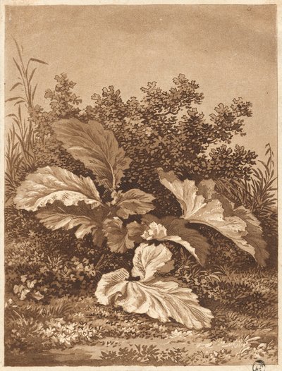 Étude de Feuilles - Anton Balzer