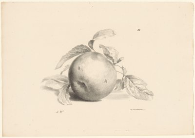 Pomme (série Fruit) - Anton Weiss