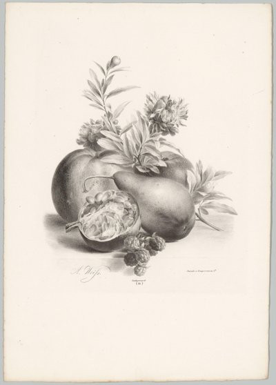 Fleurs, pommes, poire, grenade et mûres (série: Études de fleurs et de fruits, 10e livraison) - Anton Weiss