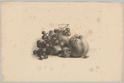 Raisins et pommes - Anton Weiss