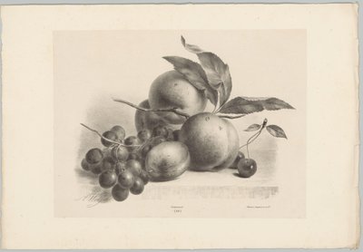 Raisins, prune, pêches et cerises - Anton Weiss
