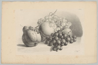 Citrouille, baies, raisins et pêches - Anton Weiss