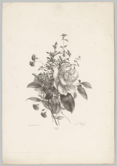 Roses, œillets et fuchsia - Anton Weiss