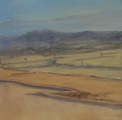 Haie en zigzag, Somerset, 2022 - Antonia Myatt