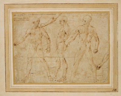 Trois nus masculins, de face, de dos, de profil; … - Antonio (attr. to) Pollaiuolo