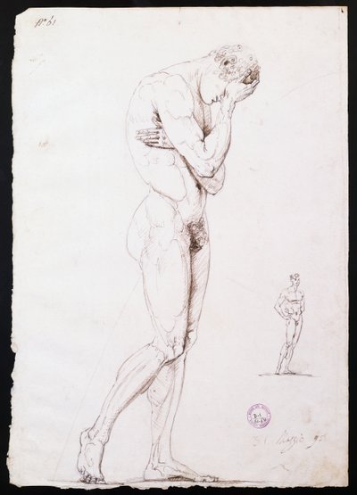 Nu masculin debout en profil gauche - Antonio Canova