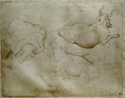 Deux vaches et un genévrier - Antonio Pisanello