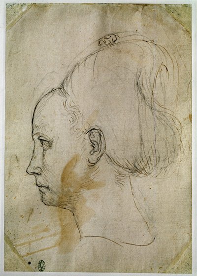 Tête de jeune femme, profil vers la gauche - Antonio Pisanello