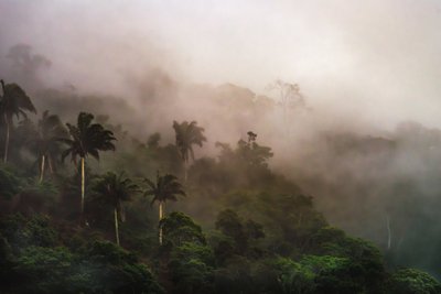 Corcovado XIX, 2020 - Antonio Schubert