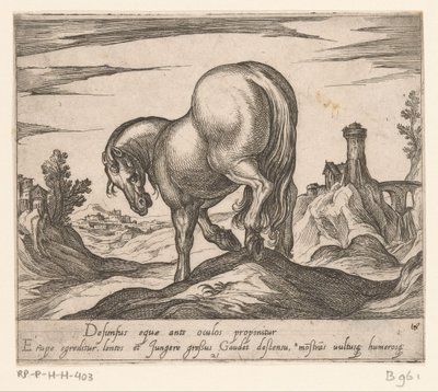 Cheval descendant une colline vu de derrière - Antonio Tempesta