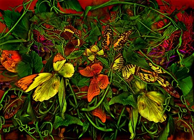 Anderswelt no.102-1, 2025 (photo) - Antonius Antonius