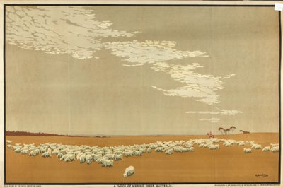 Un troupeau de moutons mérinos - Australie, de la série 