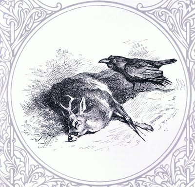 Cerf et corbeau, pub. par Book Club Associates - Archibald Thorburn