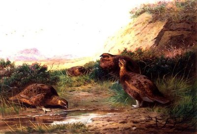 Grouse dans un paysage - Archibald Thorburn