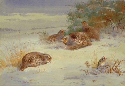 Perdrix et chardonneret dans un paysage d
