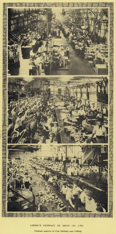 Fabrication et remplissage de boîtes, usine de la Liebig Extract of Meat Company, Ltd, Argentine (photo n/b) - Argentinian Photographer