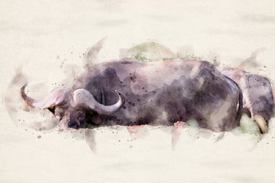  - Arno Du Toit