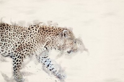  - Arno Du Toit