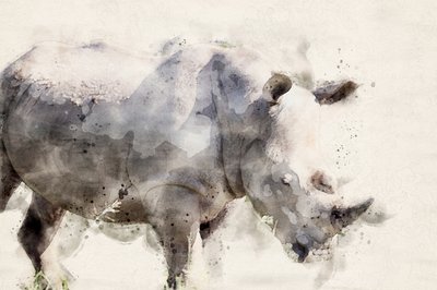  - Arno Du Toit